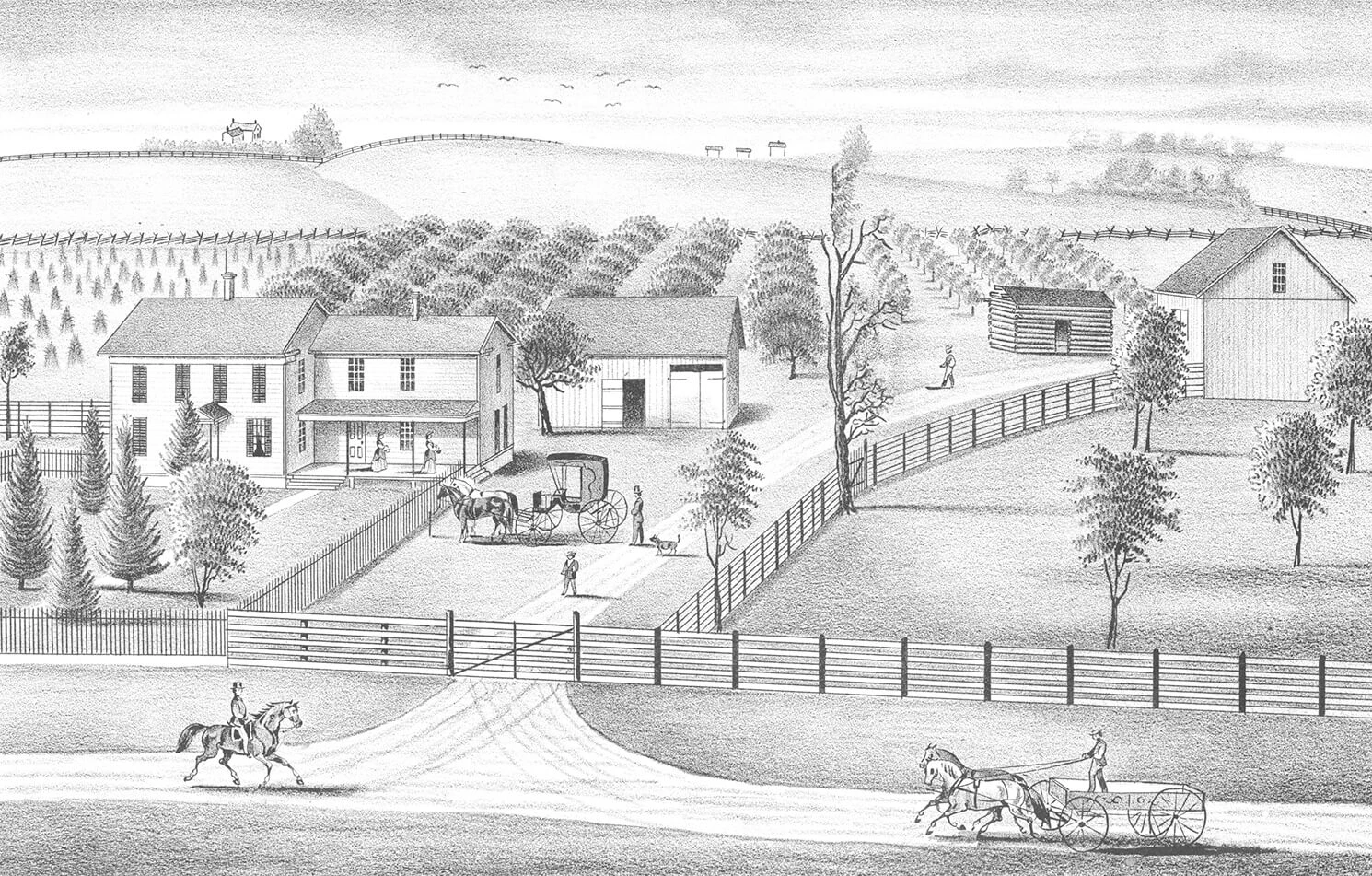 Black and white illustration of a farmhouse, two barns, and a cabin, surrounded by trees and fencing. There is a horse and carriage at the center. In the background are neat rows of trees.