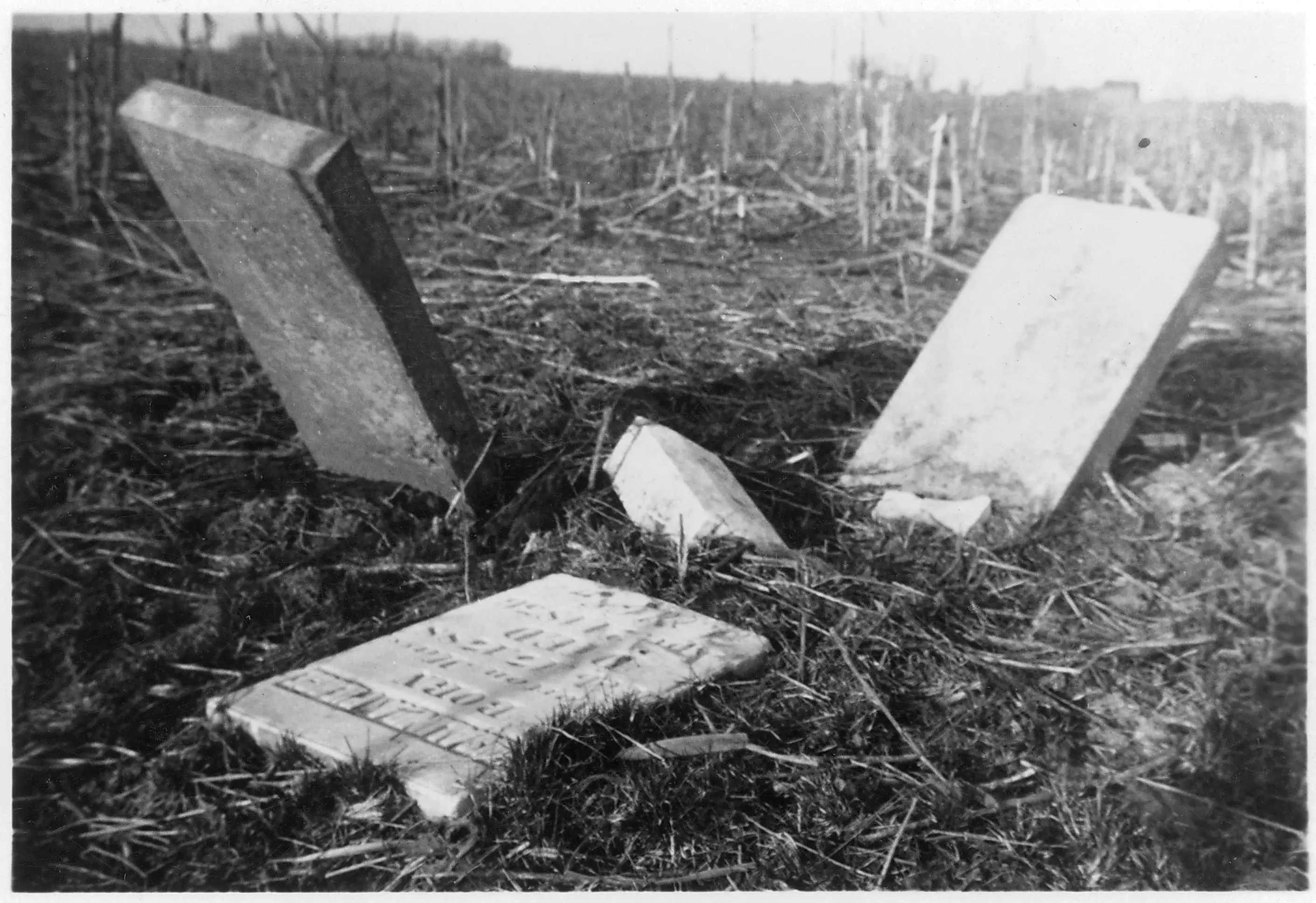 Black and white photo of crooked and damaged headstones, amid tall unkempt grass.