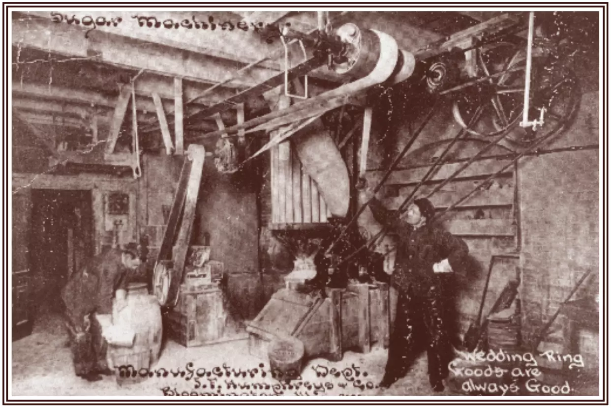 Black and white photo of two men processing sugar using what appears to be a pulley system with overhead belts.