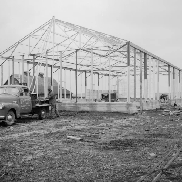 This all-steel “utility” farm building erected near LeRoy in November 1949 speaks to the transformation of Corn Belt barns in the post-World War II years, as the iconic wood-frame “big red barn” of rural Americana gave way to the utilitarian (and far less aesthetically pleasing) machine shed.