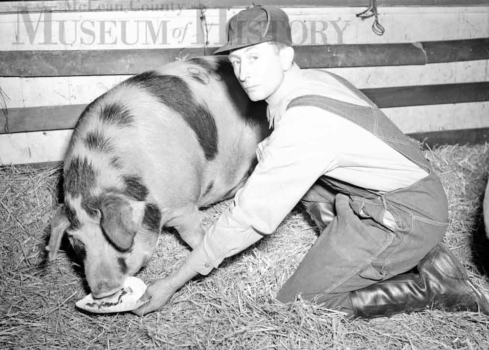 Photo of a man feeding a pig a slice of pie.